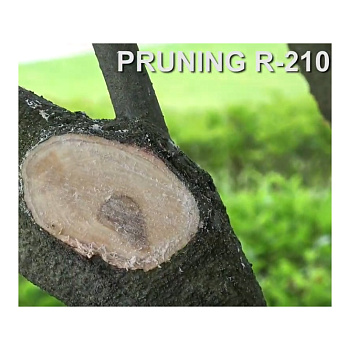 Pruning R-210 прочное пильное полотно с острыми зубьями идеально подходит для обрезки веток, мокрой необработанной древесины, рубки деревьев с большой эффективностью