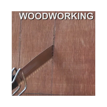Woodworking R-210 Z-SAW